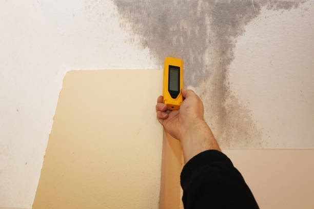 Mold Remediation for Vacation Homes in Keene, NH